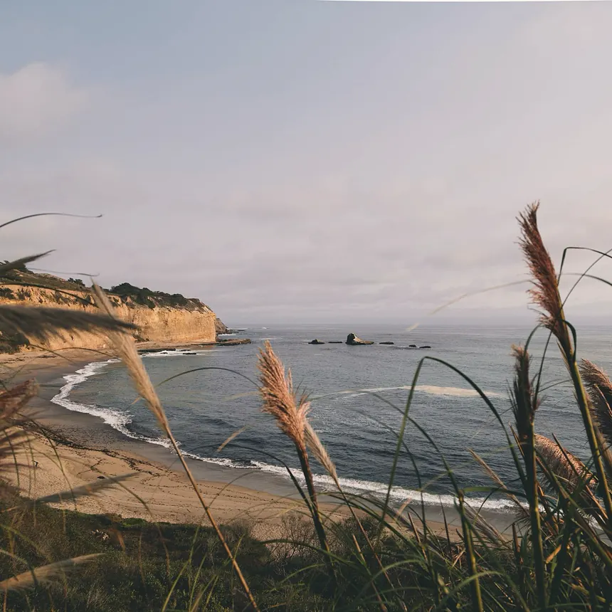 Dune grass over a cove, the Sand colourway matched to it